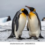 动漫大胸 loekhpdz7i